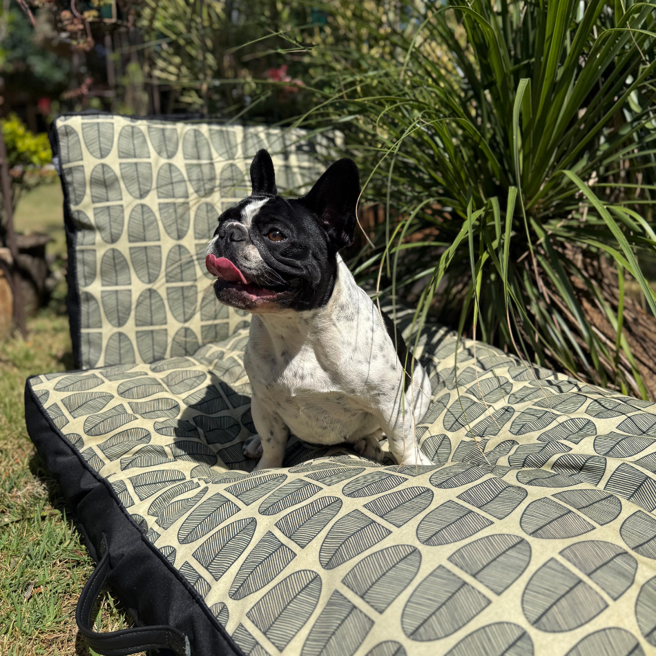 Banana Leaf Black Outdoor Pet Bed