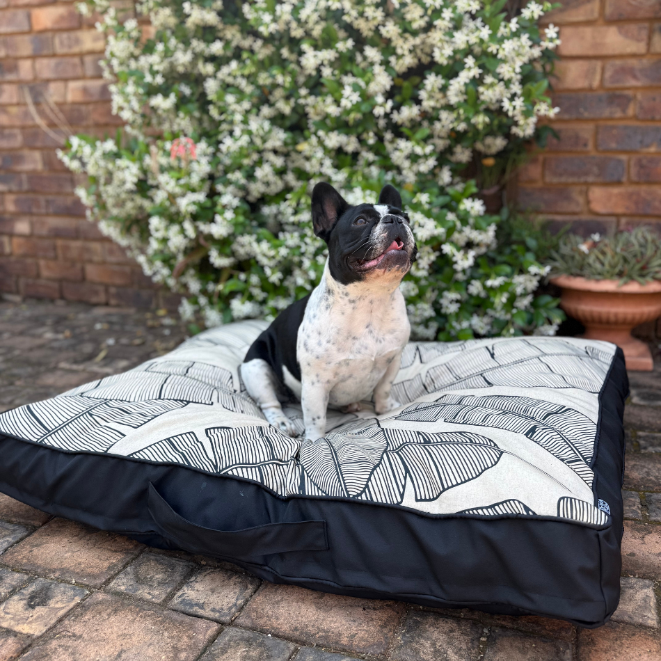 Plantation Black Outdoor Pet Bed