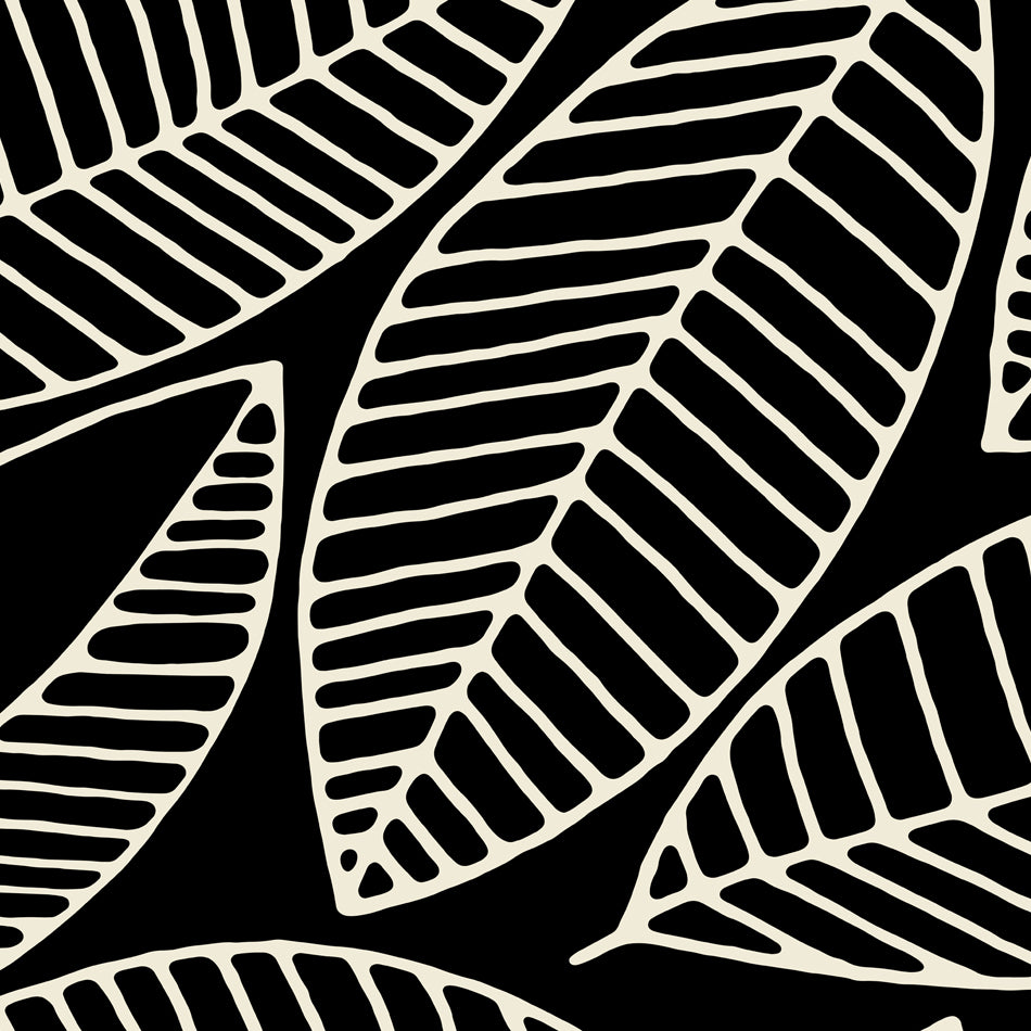 Frangipani Parchment on Black
