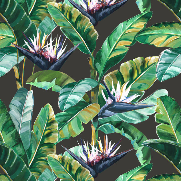Birds of Paradise Small Charcoal 100% Organic Cotton