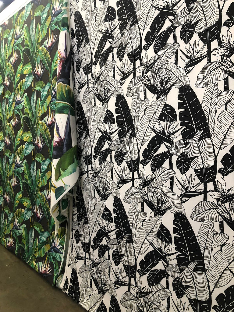 Organic Cotton Range