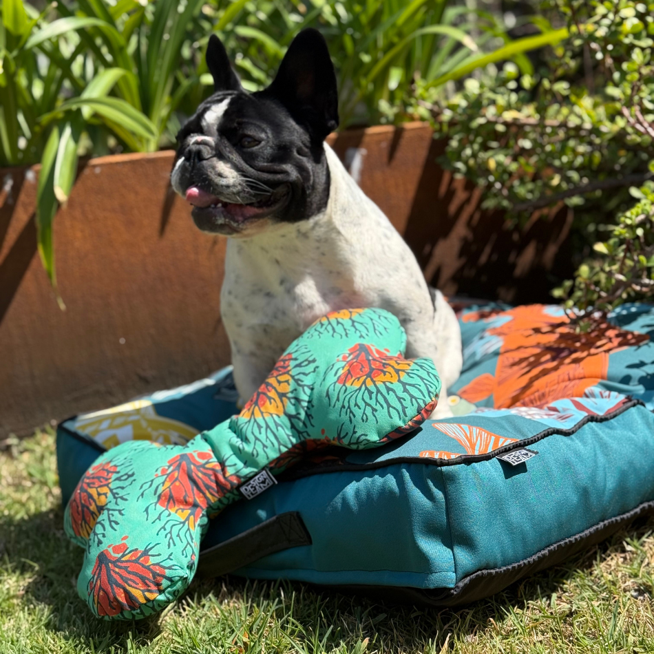 Carapau Outdoor Pet Bed Small