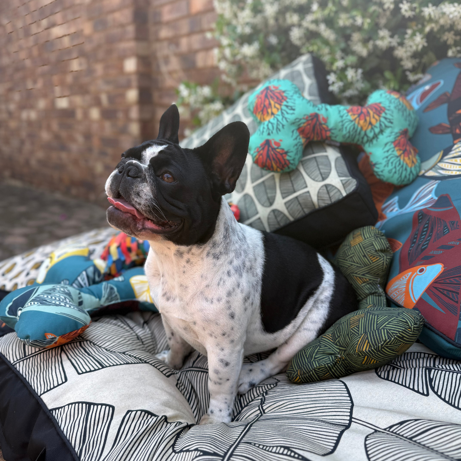 Plantation Black Outdoor Pet Bed