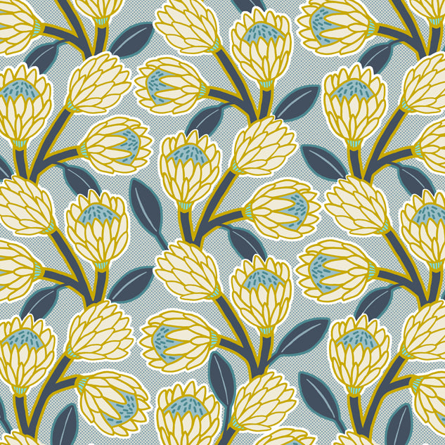 Protea Magnifica Blue