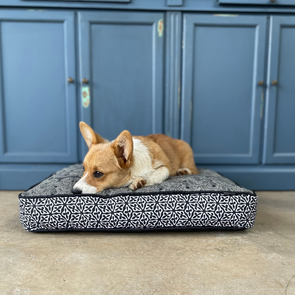 African Grey Pet Bed