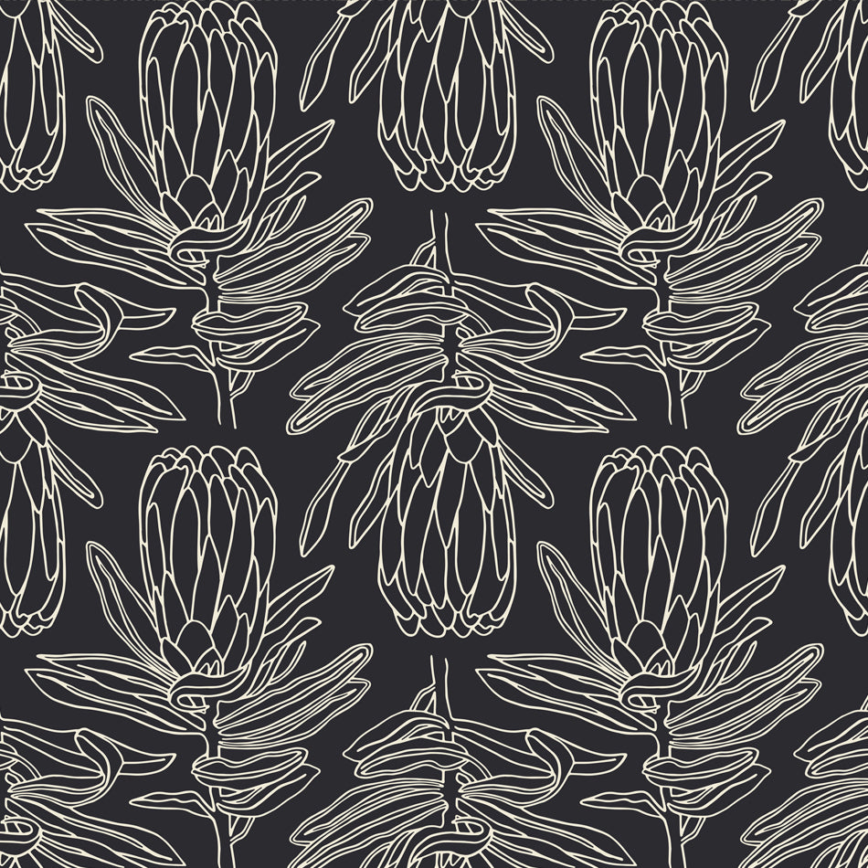 Small Line Protea Parchment on Charcoal